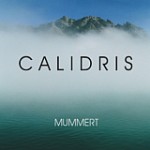 Calidris by Holger Mummert
